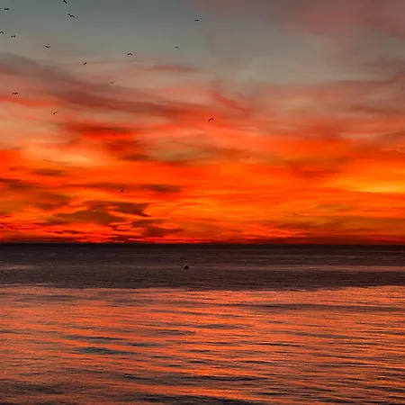 View 180 Альтеа